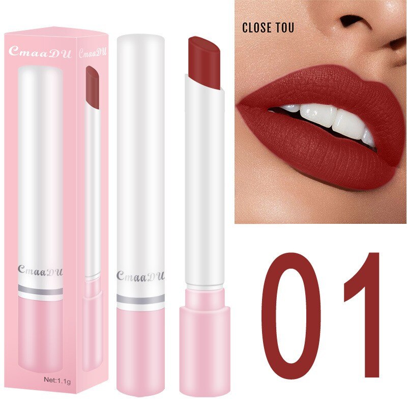 2/5 Color Cigarette Lip Gloss Set For Lips Makeup Long Lasting Matte Lipsticks Tint For Lips Waterproof Non-stick Cup TSLM1