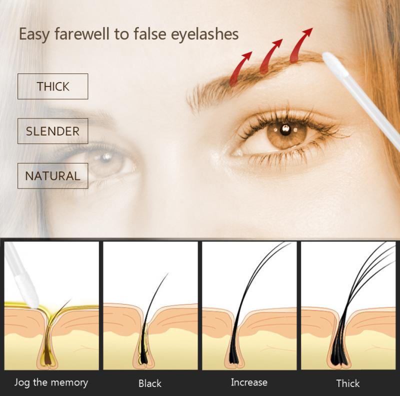 Eyebrows Enhancer 15ml Rising Eyebrows Growth Serum Eyelash Growth Liquid Makeup Eyebrow Longer Thicker Women Cosmetics Tools