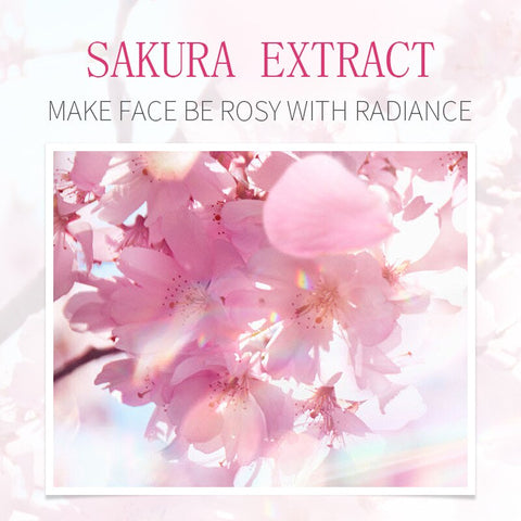 Sakura Serum Essence Shrink Pores Tightens Refining Moisturizing Essence Whitening Anti-aging Oil Control Face Care
