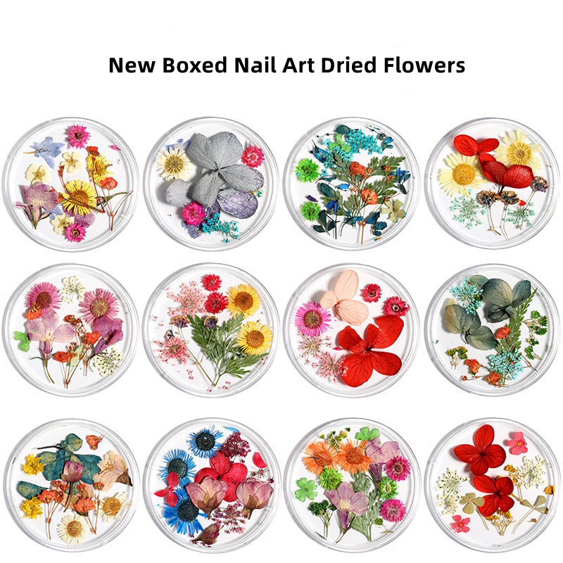 Beyprern 2Boxes Nails Art Decorations 3D Dried Flower Mixed Shape Natural Floral Nail Charms Supplies Japanese-Style Manicure Accessories