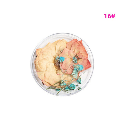 Beyprern 2Boxes Nails Art Decorations 3D Dried Flower Mixed Shape Natural Floral Nail Charms Supplies Japanese-Style Manicure Accessories