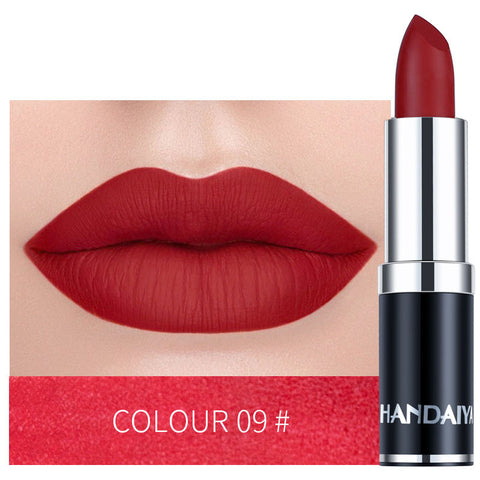 Beyprern Waterproof Long Lasting Matte Lipstick Cosmetic Makeup Liquid Lip Gloss,12 Colors